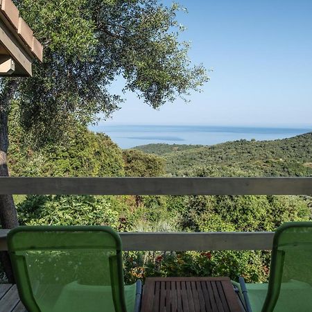 Les Terrasses De Scaglioli Villa Villanova Exterior photo